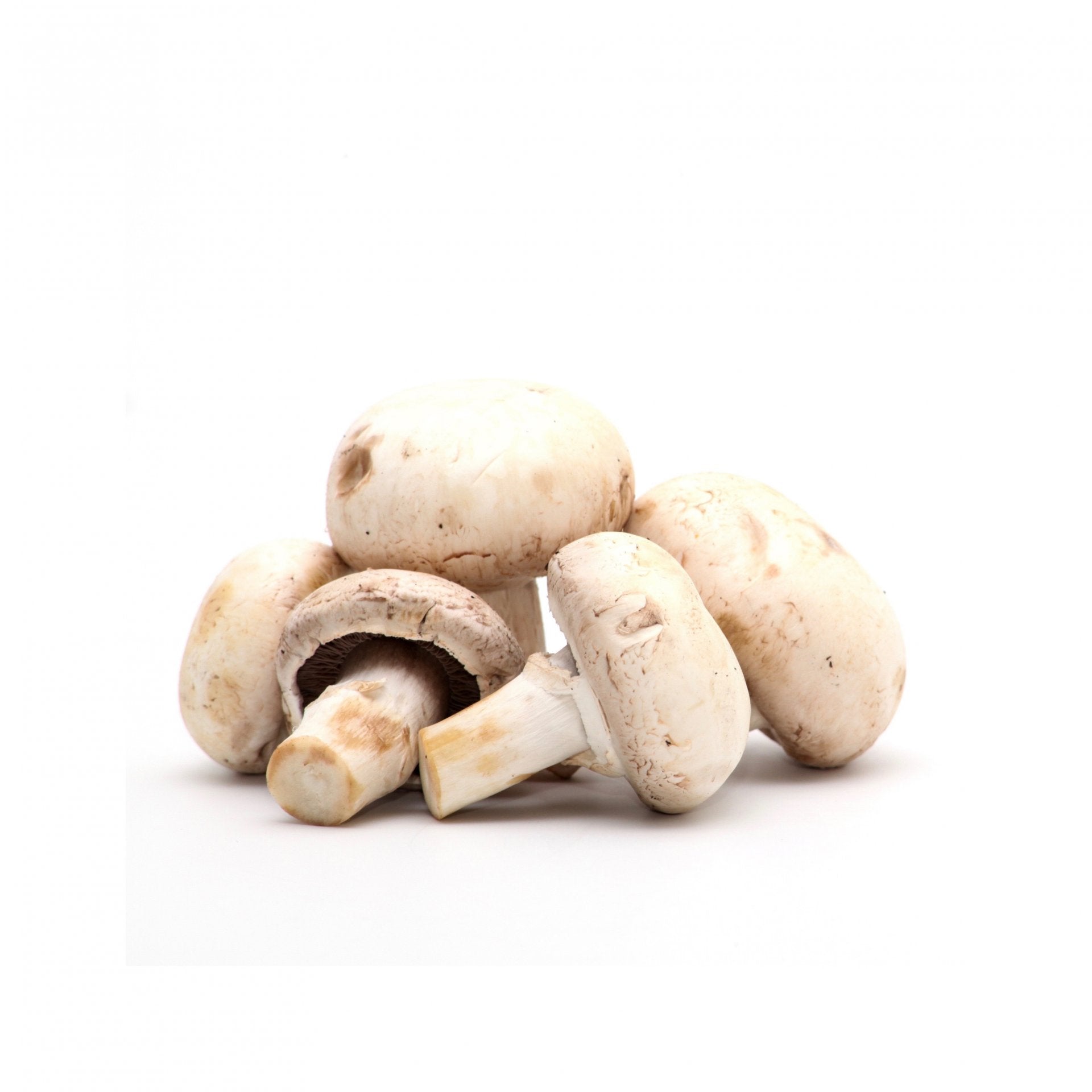 Šampiňóny biele. 100g